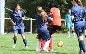 6aa6c09761838_2X5A5561.JPG