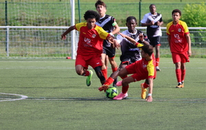 COUPE GAMBARDELLA à Ingré