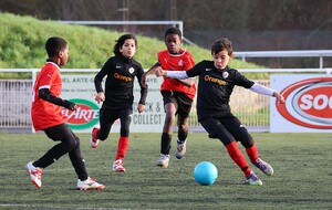 Championnat 	U11 A 8 Niveau 2 / Phase 1 - Poule B
